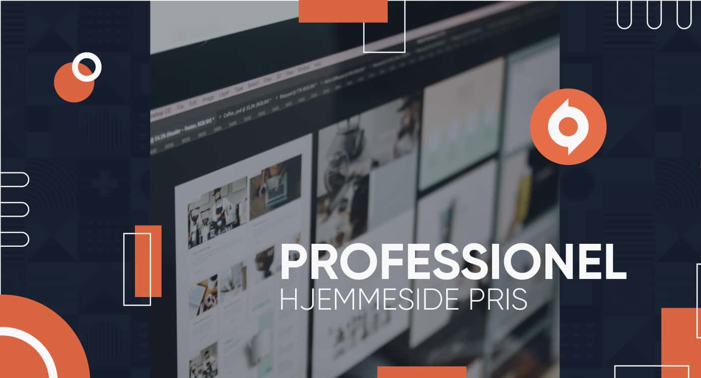 professionel hjemmeside pris