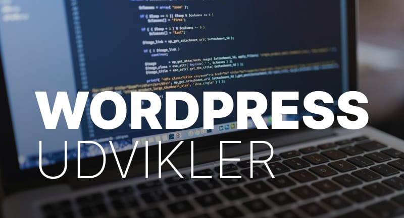 WordPress udvikler